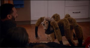 Uncle Buck, Season 1 Episode 5 image