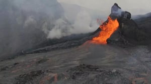 Nature, Season 23 Episode 4 image