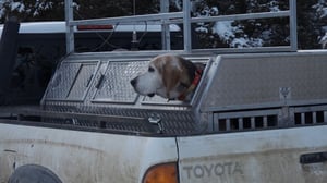 Mountain Men, Season 9 Episode 9 image