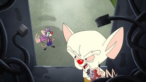 Animaniacs, Season 2 Episode 10 image
