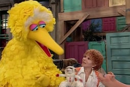 Sesame Street, Season 27 Episode 130 image