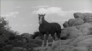 The Adventures of Champion, Season 1 Episode 5 image