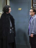 The Big Bang Theory, Season 9 Episode 21 image