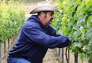 Ratings: Undercover Boss Gets Biggest Audience in a Year; Kardashians Set Series Record