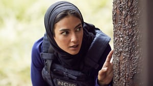 NCIS: Los Angeles, Season 14 Episode 11 image