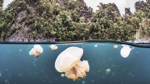 Tales by Light, Season 3 Episode 3 image