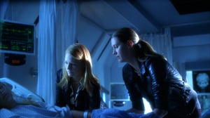 CSI: Crime Scene Investigation, Season 9 Episode 22 image