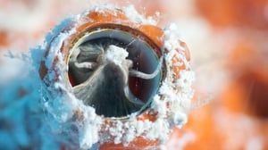 Changing Seas, Season 10 Episode 2 image