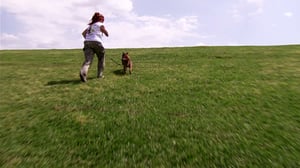 Pit Bulls and Parolees, Season 4 Episode 11 image