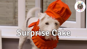 Dog Years, Season 1 Episode 9 image