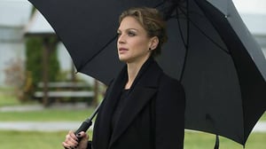 Motive, Season 2 Episode 7 image