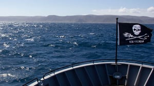 Whale Wars, Season 5 Episode 4 image