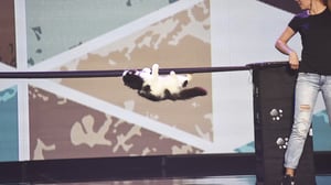 The Big Stage, Season 1 Episode 10 image