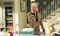 kimmy-schmidt-05-bouquet-dogs.gif