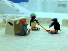 Pingu, Season 1 Episode 13 image