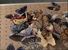 The Invaders, Season 1 Episode 7 image