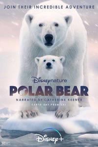 Polar Bear as Narrator(voice)