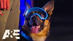 America's Top Dog, Season 1 Episode 10 image