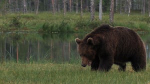 Mountain Men, Season 9 Episode 13 image