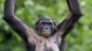 I Was Prey, Season 1 Episode 1 image