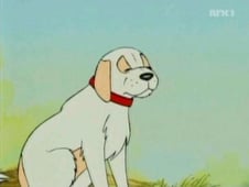 The Animals of Farthing Wood, Season 3 Episode 9 image