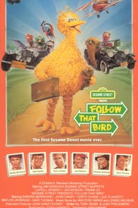 Sesame Street Presents: Follow That Bird as Newscaster