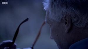 Fraud Squad, Season 2 Episode 8 image