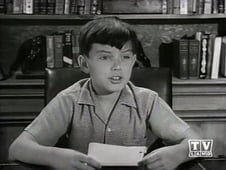 Leave It to Beaver, Season 4 Episode 7 image