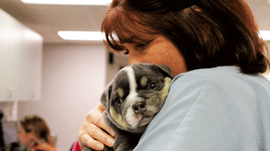 Animal ER, Season 1 Episode 3 image