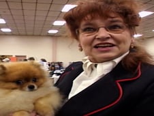 Going to the Dogs, Season 1 Episode 1 image