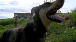 Yukon Men, Season 1 Episode 9 image