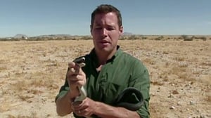 The Jeff Corwin Experience, Season 1 Episode 11 image