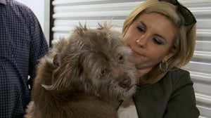 Storage Wars, Season 7 Episode 3 image