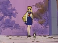 Sailor Moon, Season 1 Episode 30 image