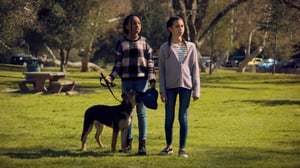 Puppy Place, Season 1 Episode 4 image