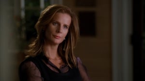 Brothers & Sisters, Season 4 Episode 9 image