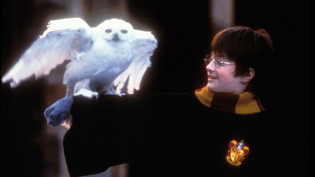 Harry Potter Series on Max: Release Date Prediction and Everything Else to Know