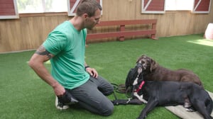 Lucky Dog, Season 4 Episode 4 image