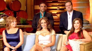 The Real Housewives of New Jersey, Season 4 Episode 23 image