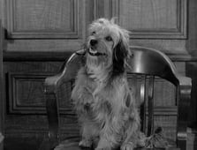 Petticoat Junction, Season 2 Episode 31 image