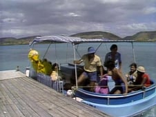 Sesame Street, Season 13 Episode 54 image