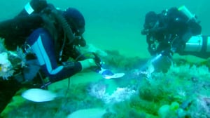 The Proof Is Out There: Bermuda Triangle Edition, Season 1 Episode 6 image