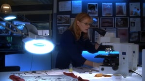 CSI: Crime Scene Investigation, Season 5 Episode 17 image