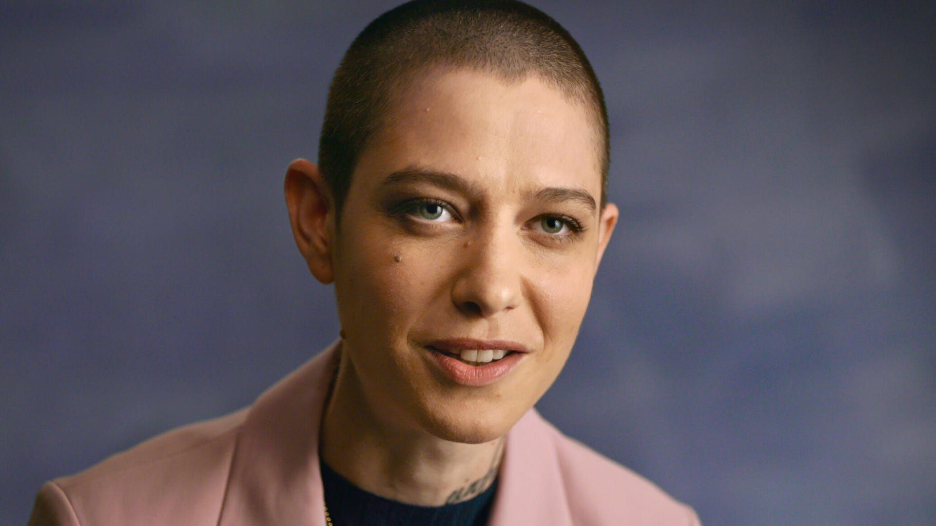 Asia Kate Dillon, Visible: Out on Television