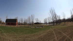 The Incredible Dr. Pol, Season 2 Episode 16 image