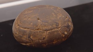 Pawn Stars, Season 23 Episode 3 image