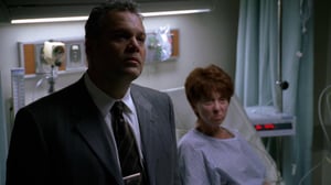 Law & Order: Criminal Intent, Season 6 Episode 15 image