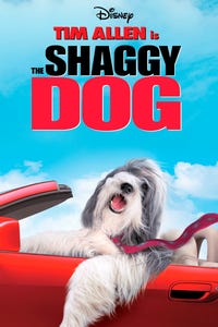 The Shaggy Dog as Judge Claire Whittaker