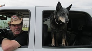 Street Outlaws, Season 3 Episode 6 image