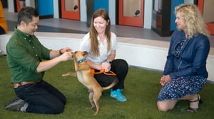 Naturally, Danny Seo, Season 2 Episode 6 image